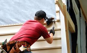 Best Custom Trim and Detailing for Siding  in Davis, CA